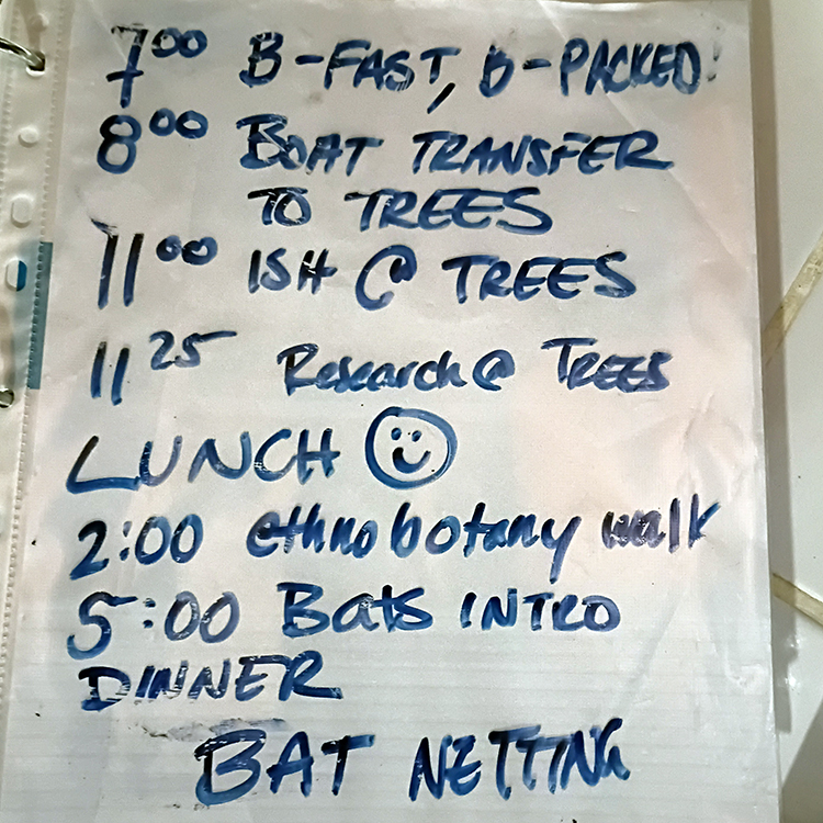 Daily Schedule